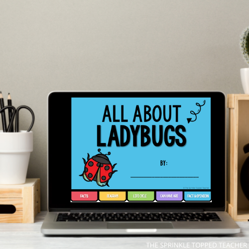 Learn all about the ladybug life cycle using Google Slides.