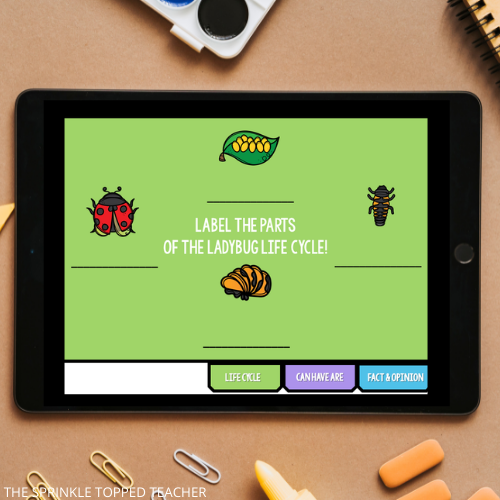 The ladybug life cycle can be recorded in Google Slides.
