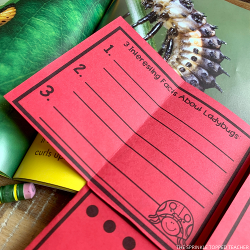 Interesting facts about the ladybug life cycle on the inside of the printable.