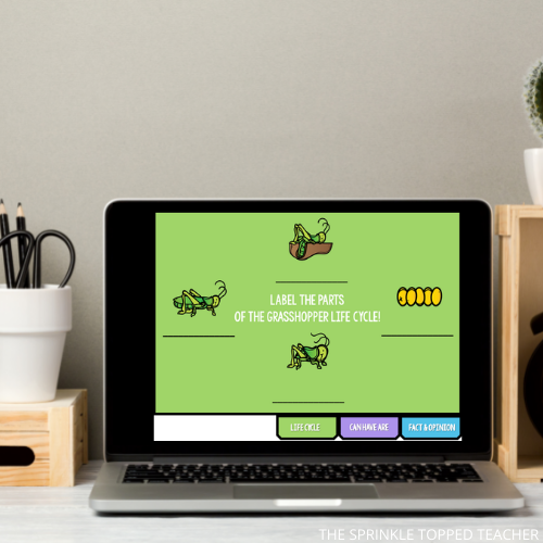 Grasshopper Life Cycle Printable for Students to research and record. Availalbe in Google Slides format.