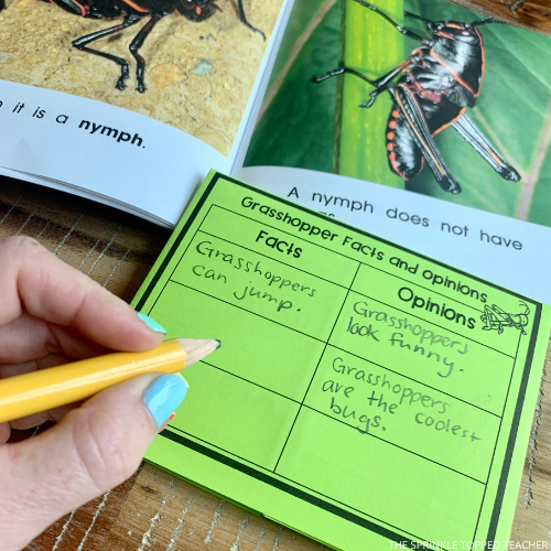 Grasshopper Life Cycle Printable for Students to research and record. Student is filling out the facts and opinions page.