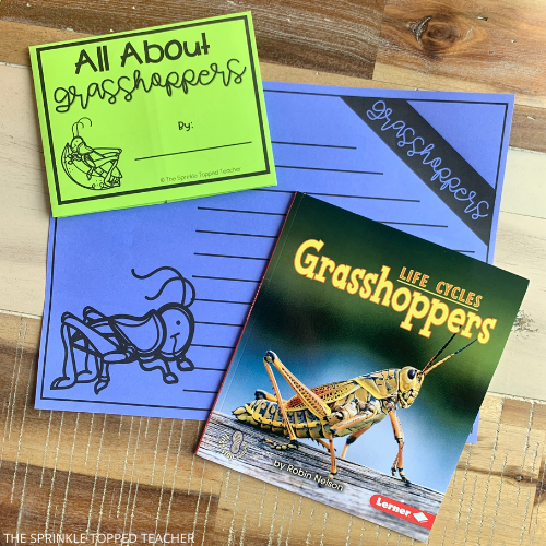Grasshopper Life Cycle Printable for Students to research and record.