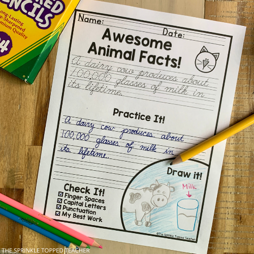 Print and cursive handwriting worksheets for kids.
