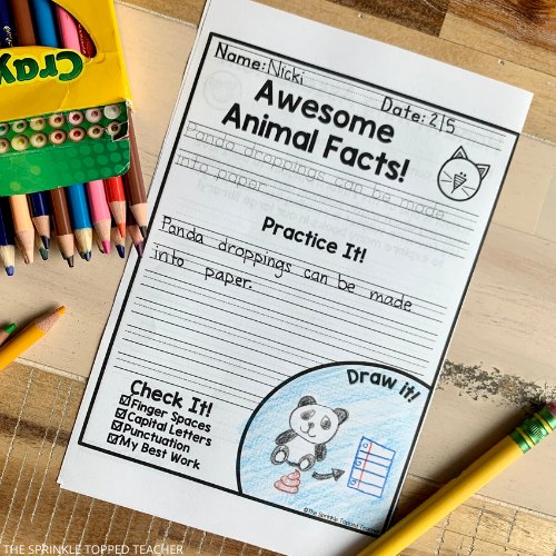 Print and cursive handwriting worksheets for kids.