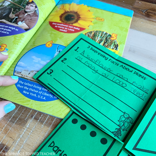 Plant Life Cycle Activities for kids.