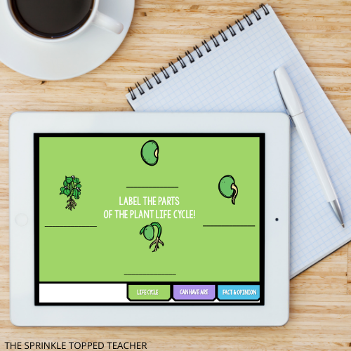 Plant Life Cycle Activities for kids.