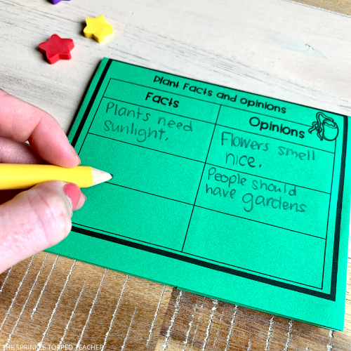 Plant Life Cycle Activities for kids.