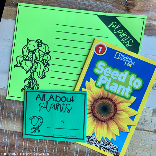 Plant Life Cycle Activities for kids.