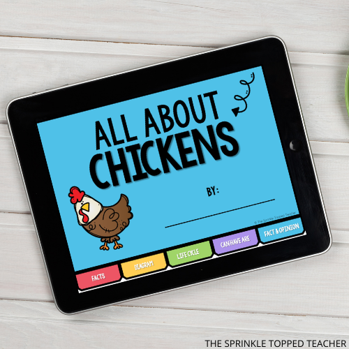 digital activities for the life cycle of a chicken