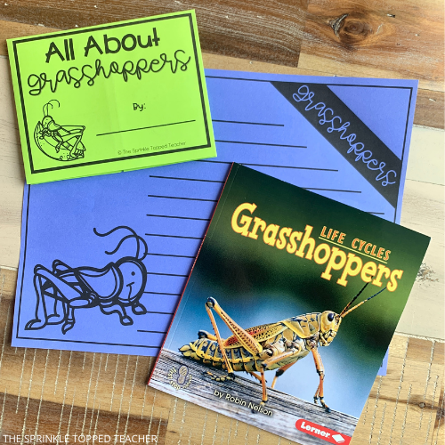 engaging flip flap activities for the life cycle of a grasshopper