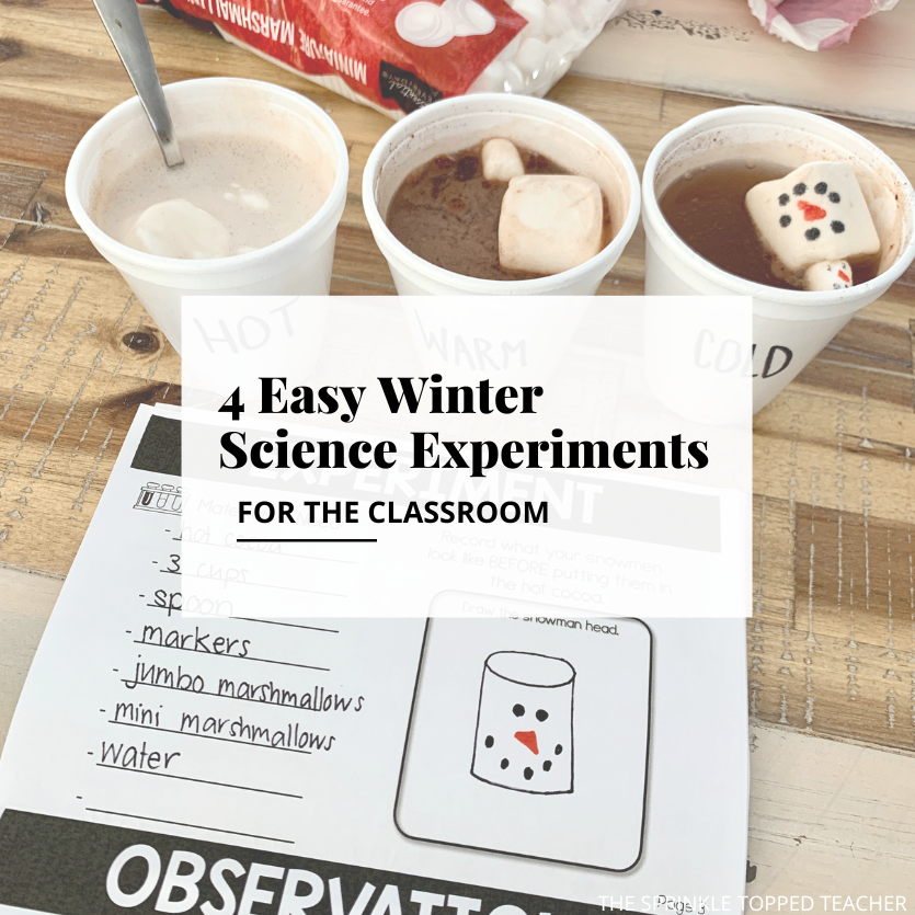 winter experiments eyfs