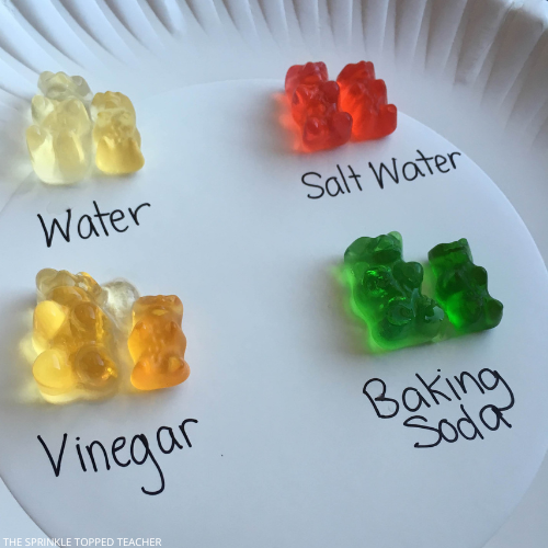 different color gummy bears on paper plate under labels, water, salt water, vinegar and baking soda.