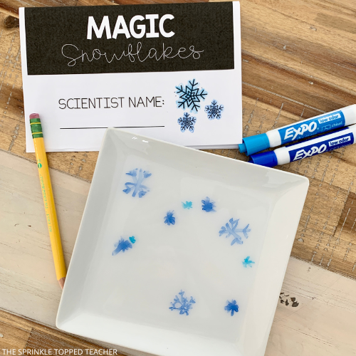 whiteboard makers, blue snowflakes drawn onto a white dish full of water. Magic snowflake activity sheet and a pencil.
