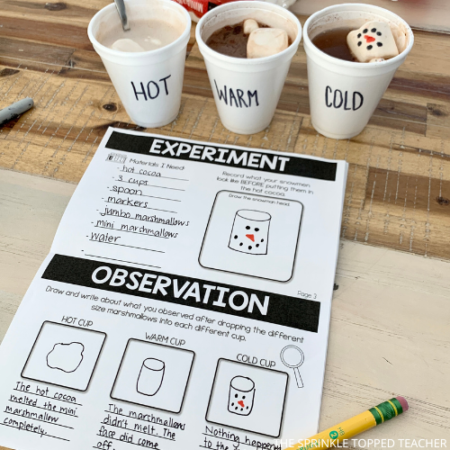 3 cups of hot chocolate with marshmallows in them, experiment work sheet to keep track of data.