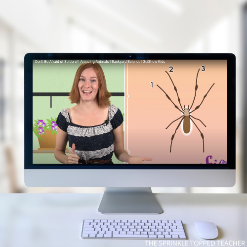 a computer with a video of a woman on YouTube explaining facts about spiders, great for spider research activities.