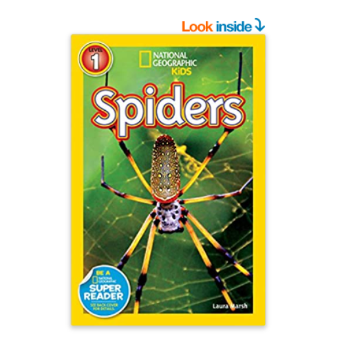 A picture of the book National Geographic Kids: Spiders